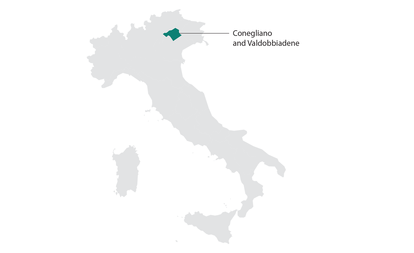 Prosecco Wine Your Guide to Italy’s Favorite Bubbly Total Wine & More