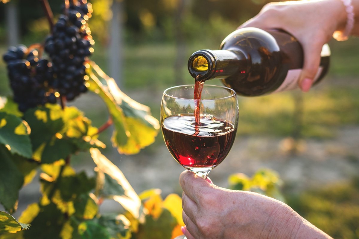 Wines to Try if You Like Sauvignon Total Wine & More