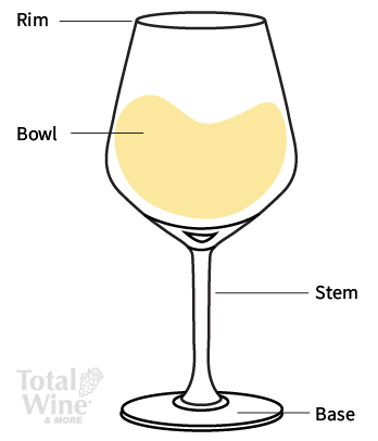 wine glass anatomy graphic