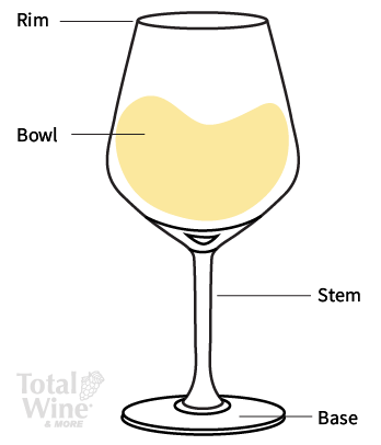 Different Types of Wine Glasses, Ideas