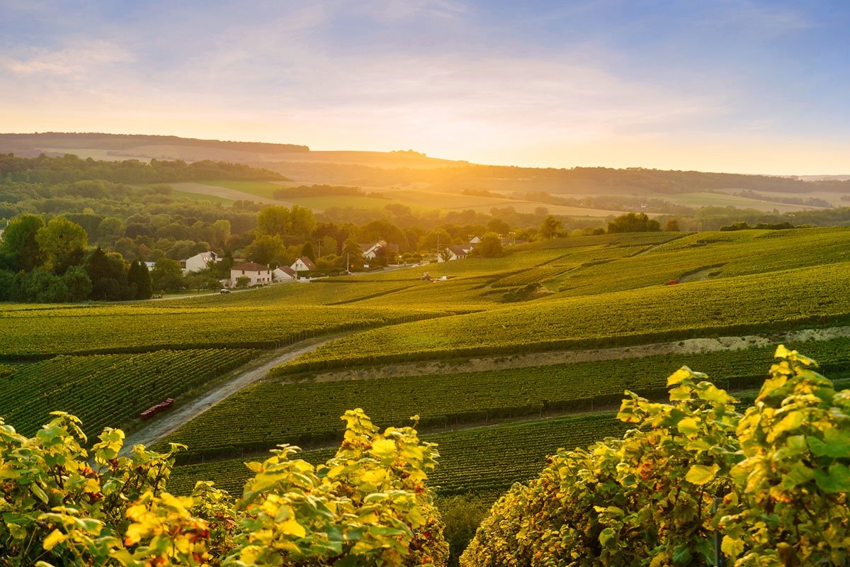 Champagne hillsides, houses and cellars