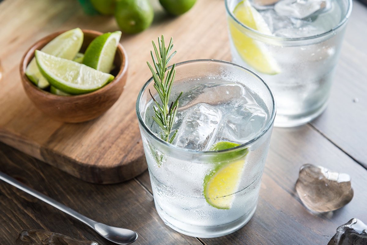 How to Drink Gin 4 Styles & How To Mix Them Total Wine & More