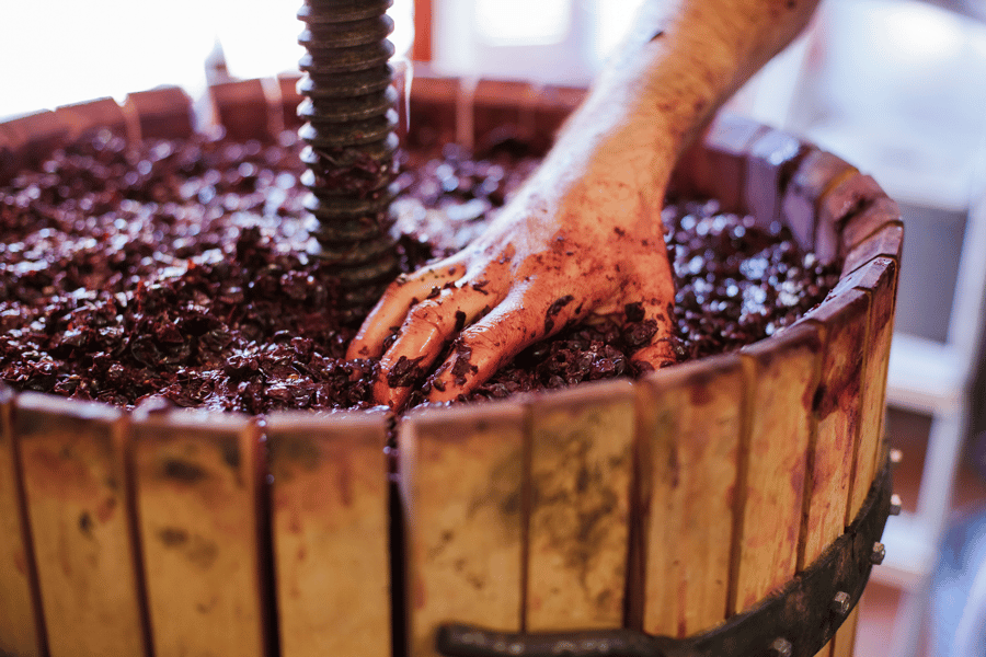 wine-making