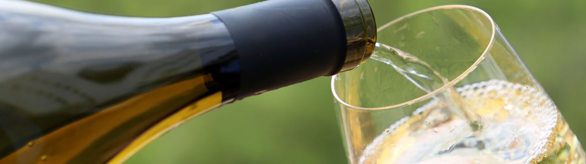 Highly Rated Chardonnay Under 20 Total Wine & More