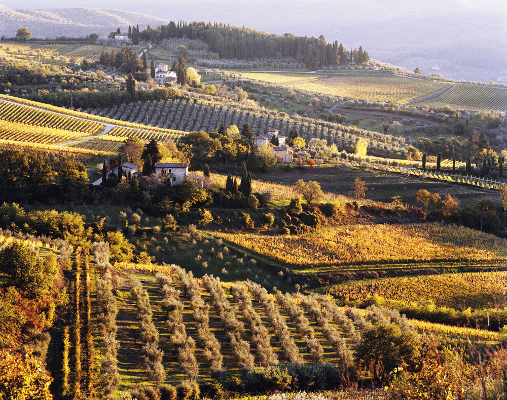 scenic hills of tuscany