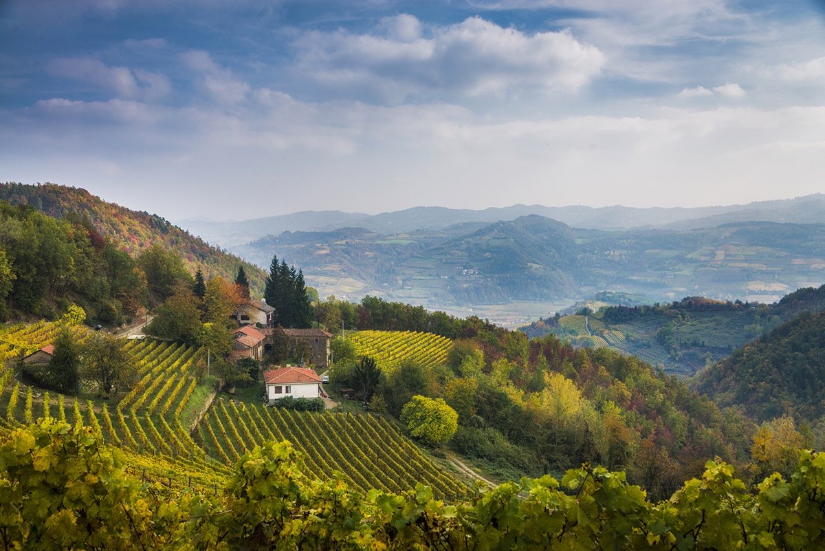 Piedmont winery on a hills with mountains in the background