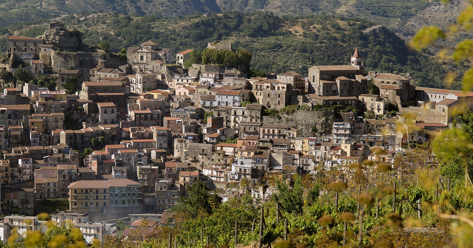 The view from a vineyard in Sicily overlooking a town