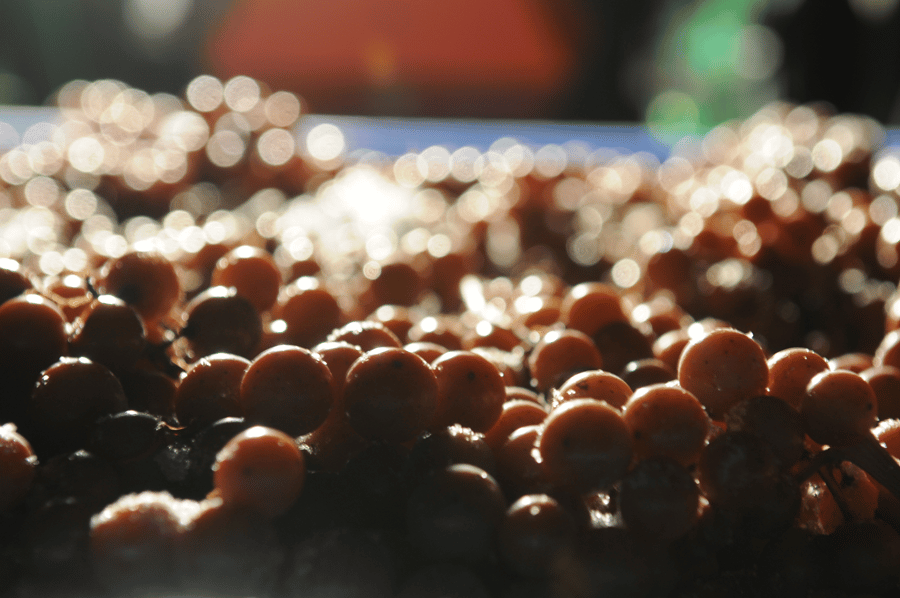 What is Ice Wine? Your Complete Guide to Icewine/Eiswein Total Wine