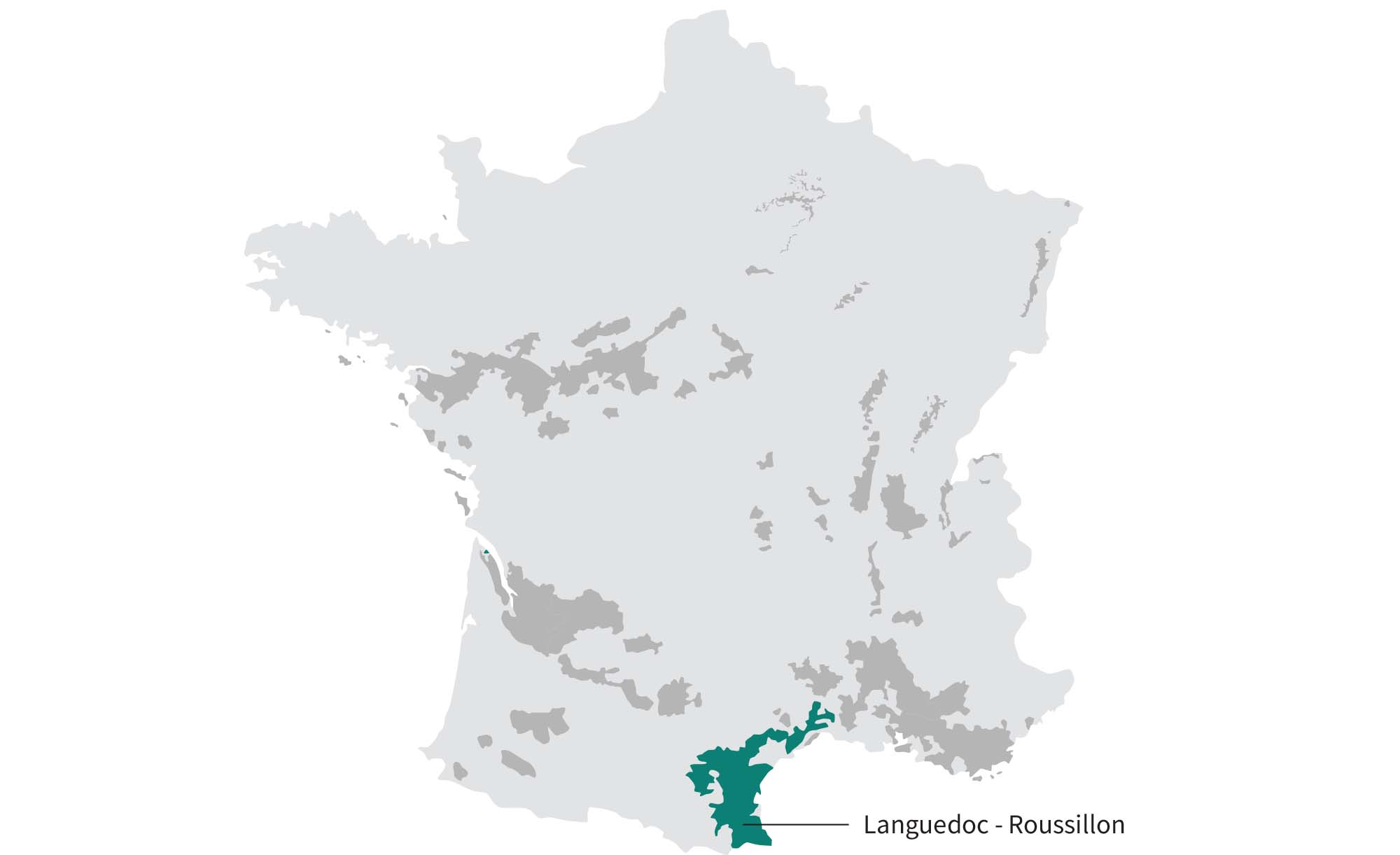 muscat wine in France: Languedoc-Roussillon
