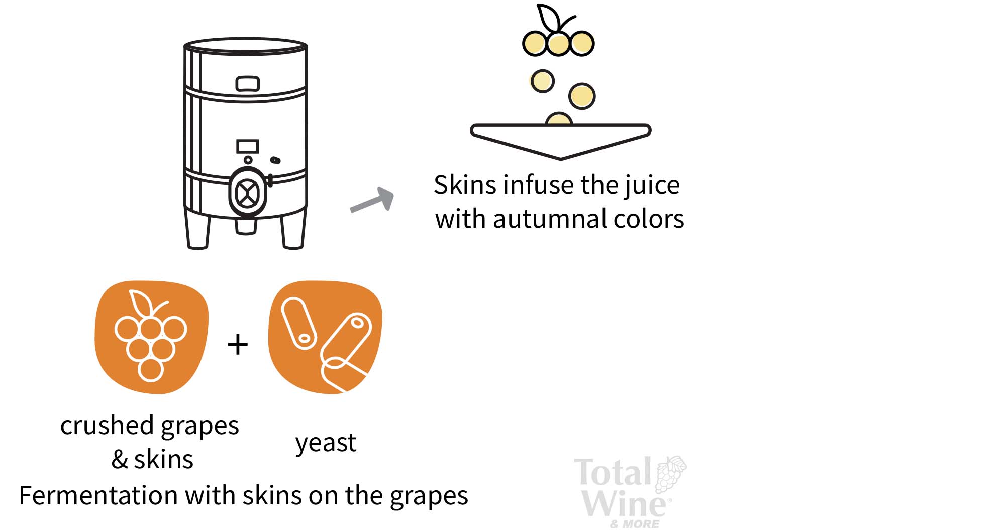 Orange Wine Everything You Need to Know Total Wine & More