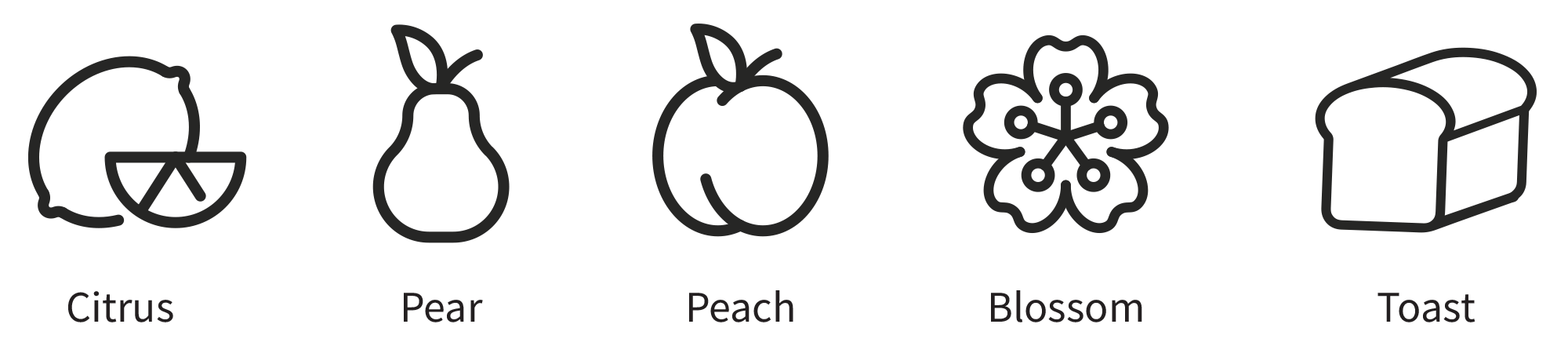 chardonnay wine flavor icons