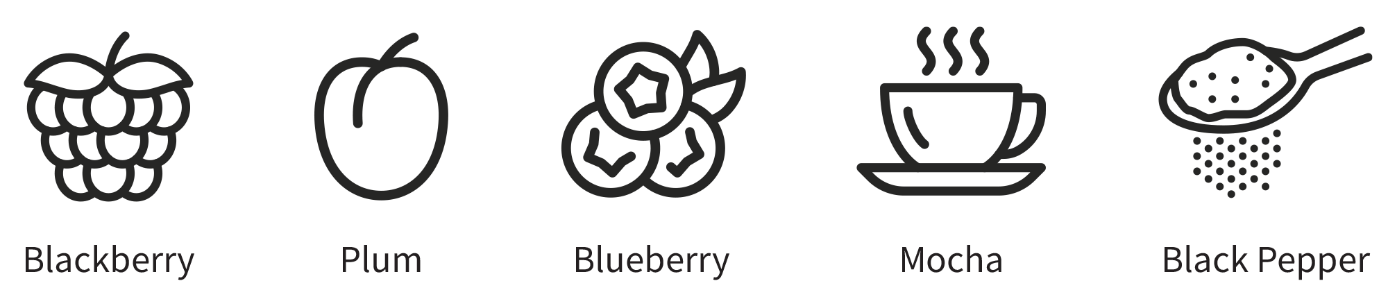 shiraz wine flavor icons