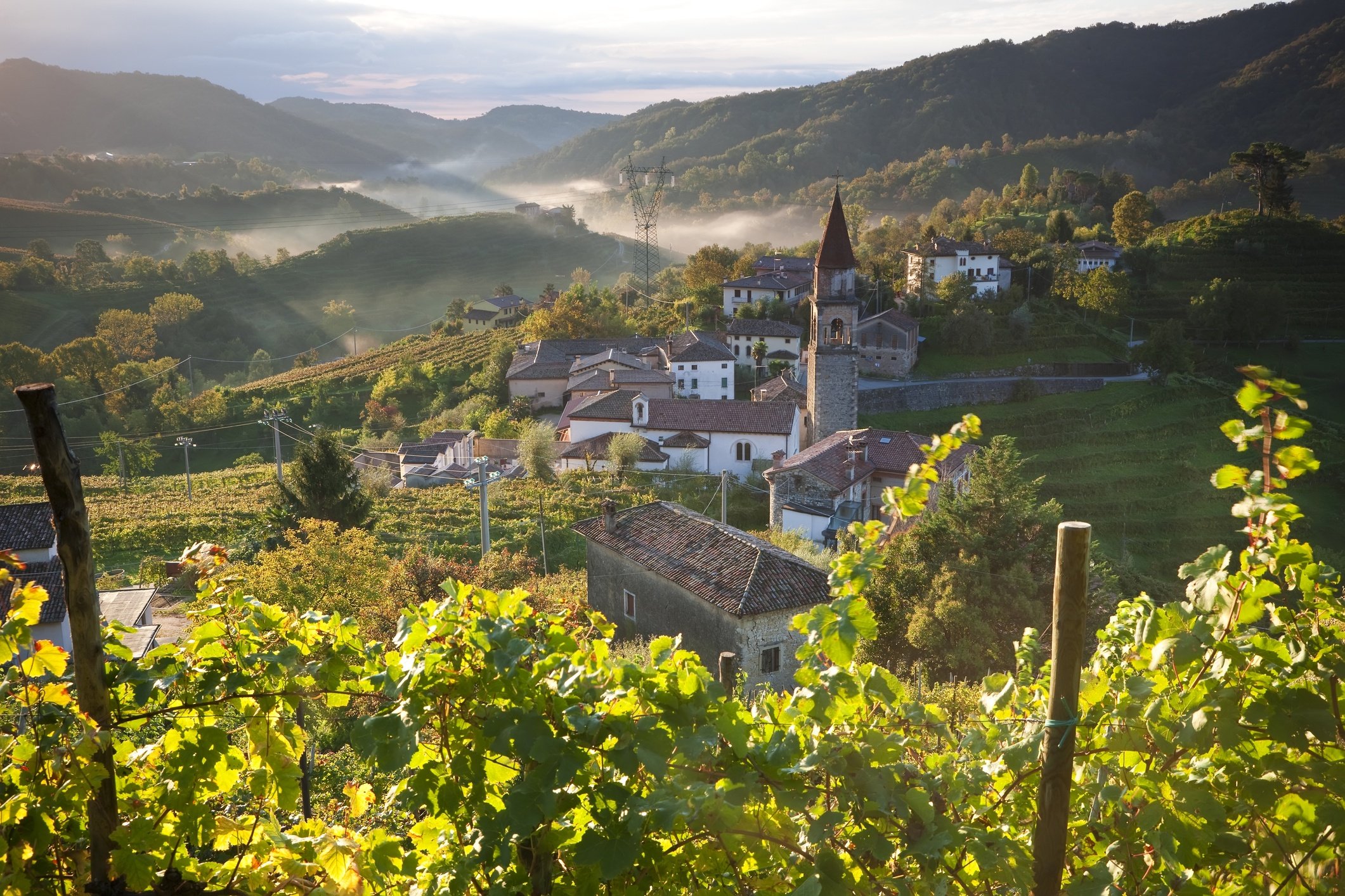 Veneto Wine | Total Wine & More