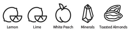 verdejo flavor icons