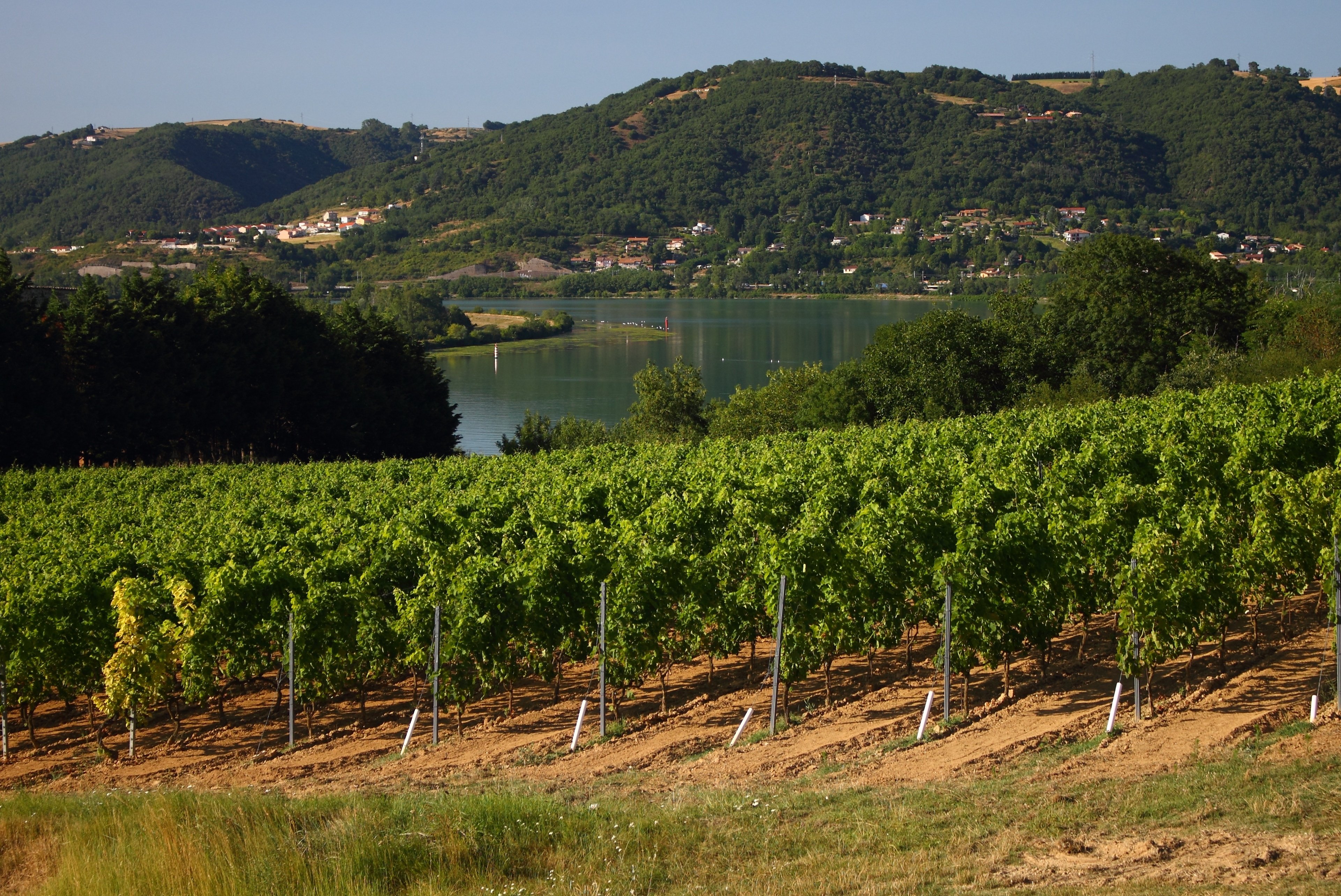rhone valley