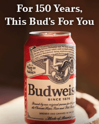 Ch de Laubade Armagnac 1960 | Total Wine & More